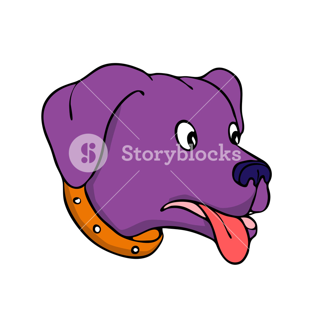 1000x1000 Drawing Sketch Style Illustration Of A Bewildered Labrador