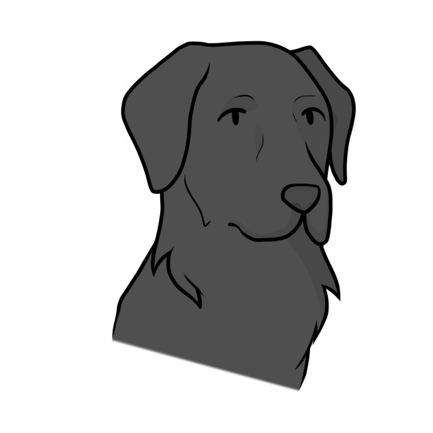 630x630 Black Labrador Retriever