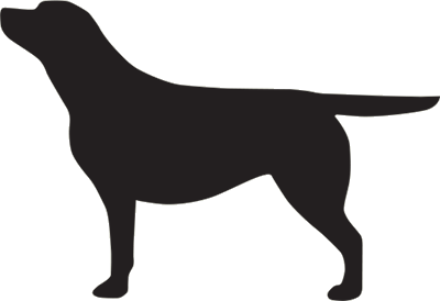 400x274 Blackboard Drawing Dog Transparent Png Clipart Free Download