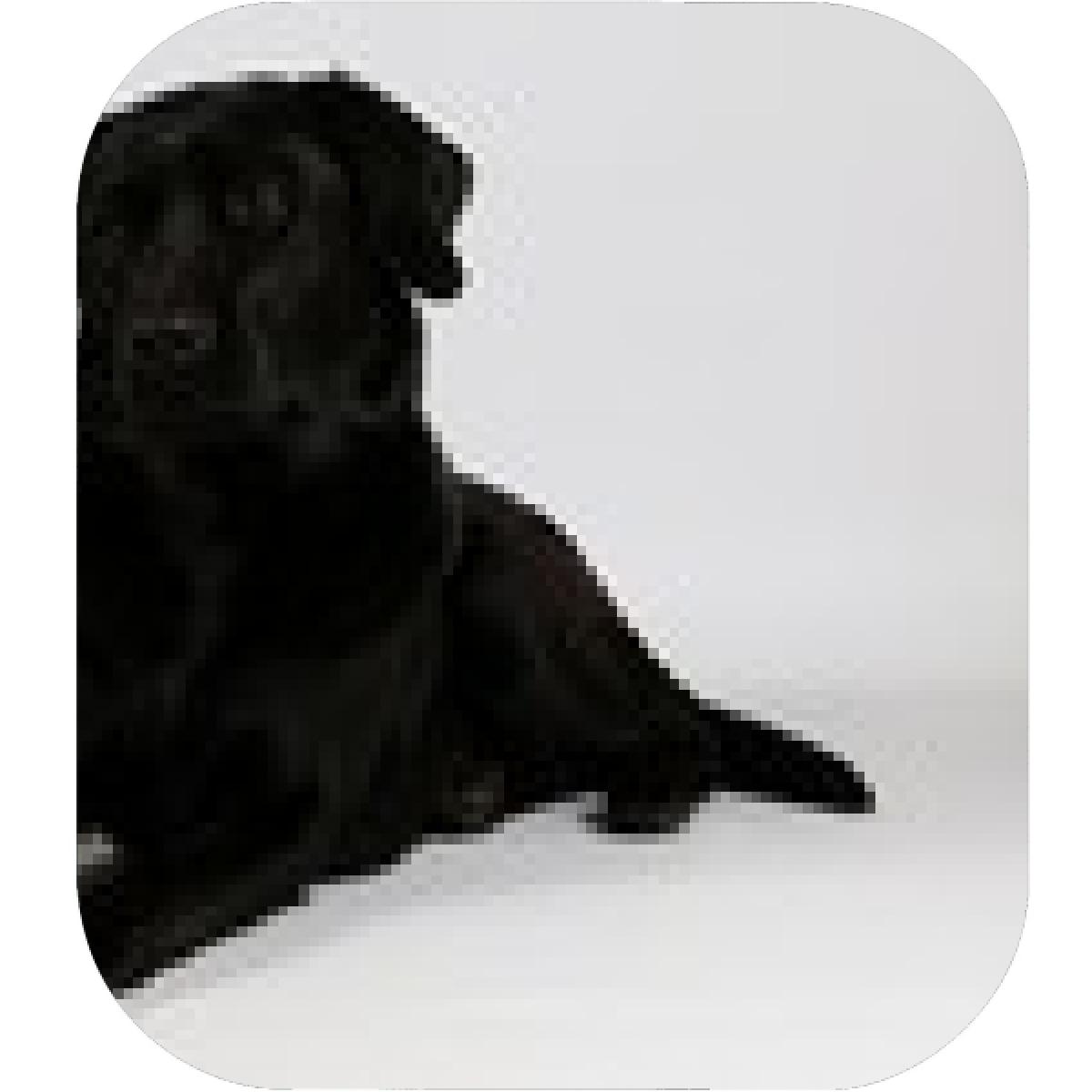 1200x1200 Designs Mein Mousepad Design Mousepad Selbst Designen