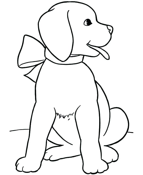 600x734 Retriever Puppy Coloring Pages Raccoon