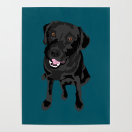 264x264 Black Lab Posters