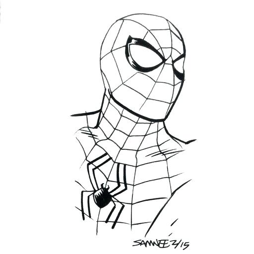 512x512 Spiderman Drawings Spider Man Black And White Spider Man Cartoon