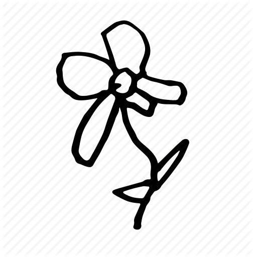 504x512 Doodle, Drawing, Floral, Flower, Flowers, Freehand, Hand Drawn