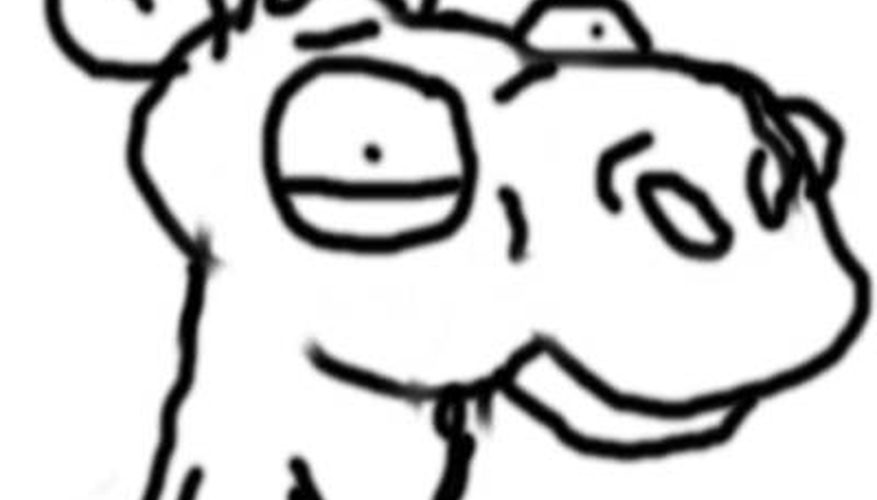 877x500 How To Draw A Camel Face Our Pastimes