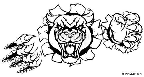 500x270 Black Panther Tiger Background Breakthrough Stock Image