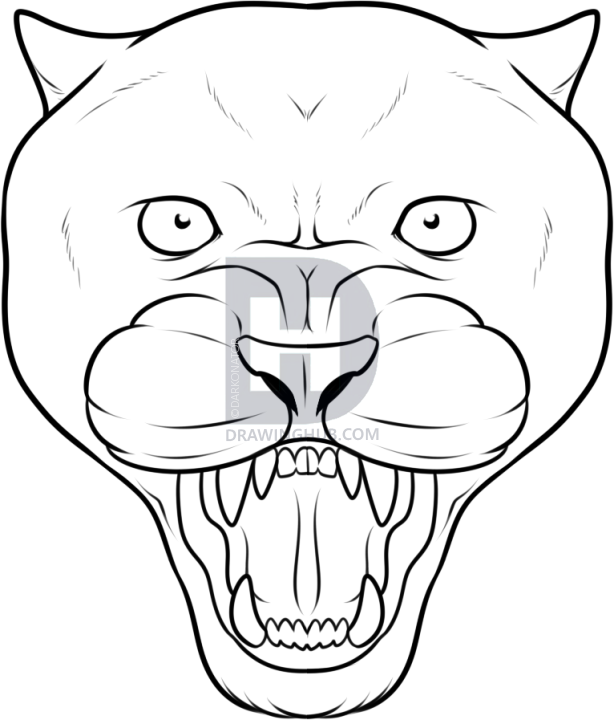 614x720 How To Draw A Panther Face, Black Panther Tattoo, Step