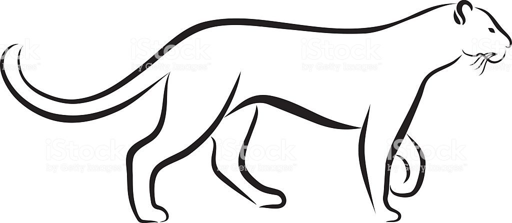1024x446 Huge Collection Of 'panther Line Drawing' Download More Than