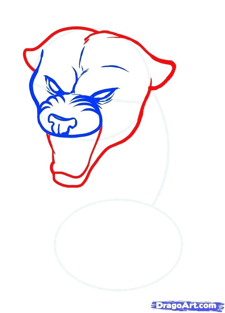 720x1001 How To Draw A Panther