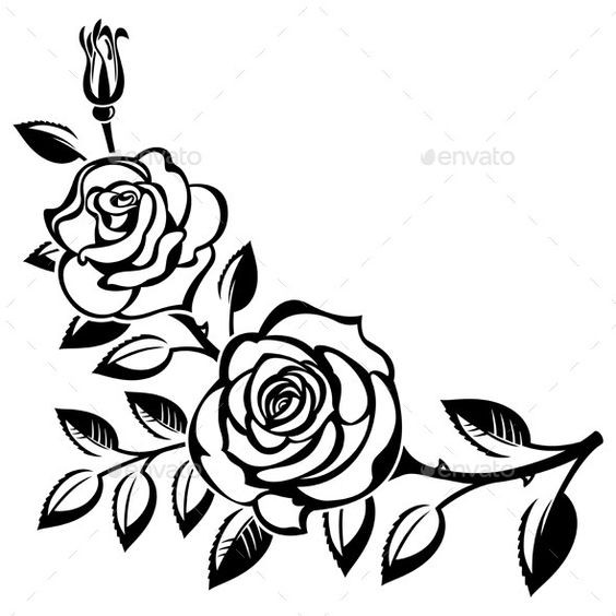 564x564 Black And White Rose Drawing Rose Bush Clipart Black And White