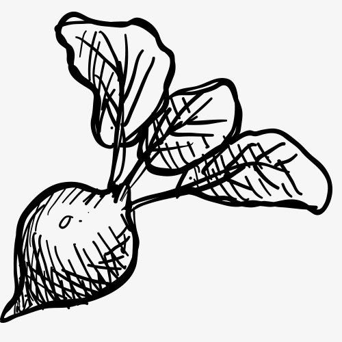 500x500 Pencil Drawing Line Clipart