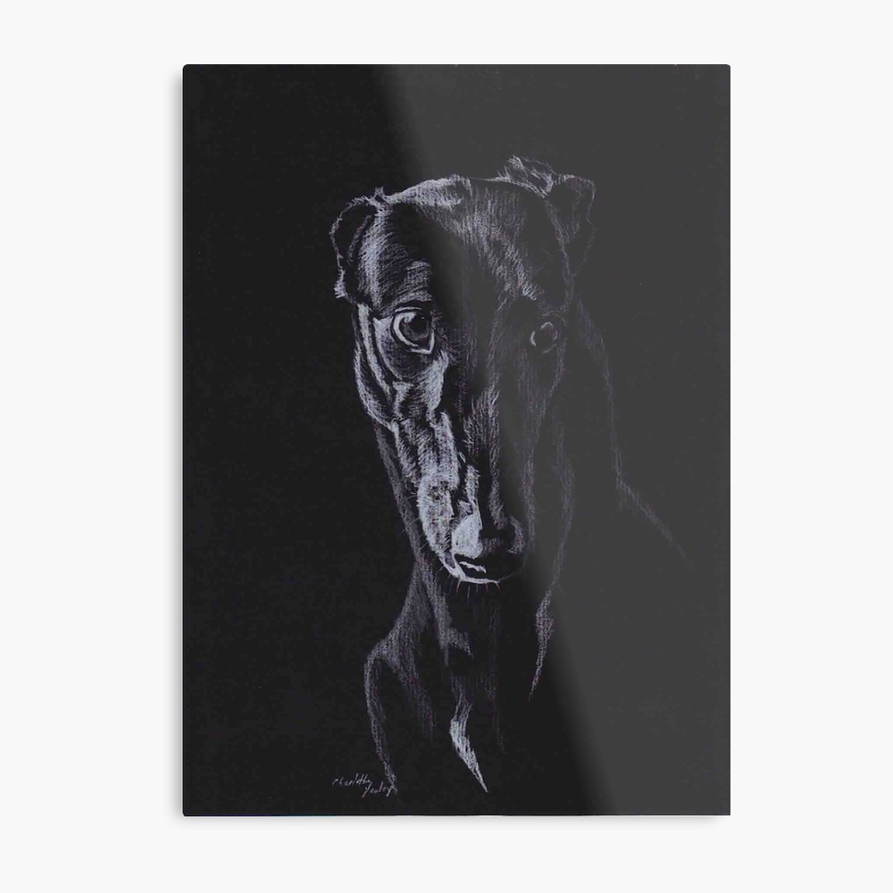 1000x1000 Black Greyhound Silhouette Colored Pencil Drawing Metal Print
