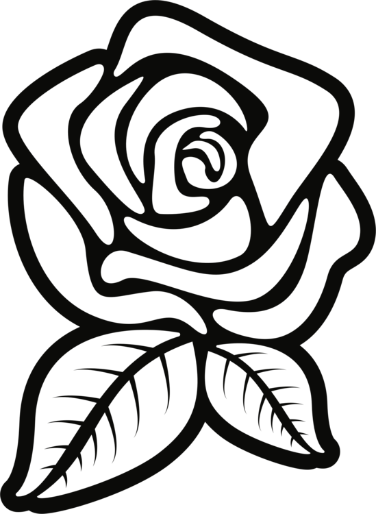 Black Rose Drawing | Free download on ClipArtMag