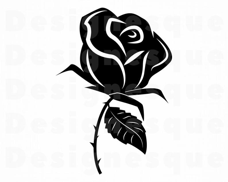 794x635 rose rose flower black rose rose etsy