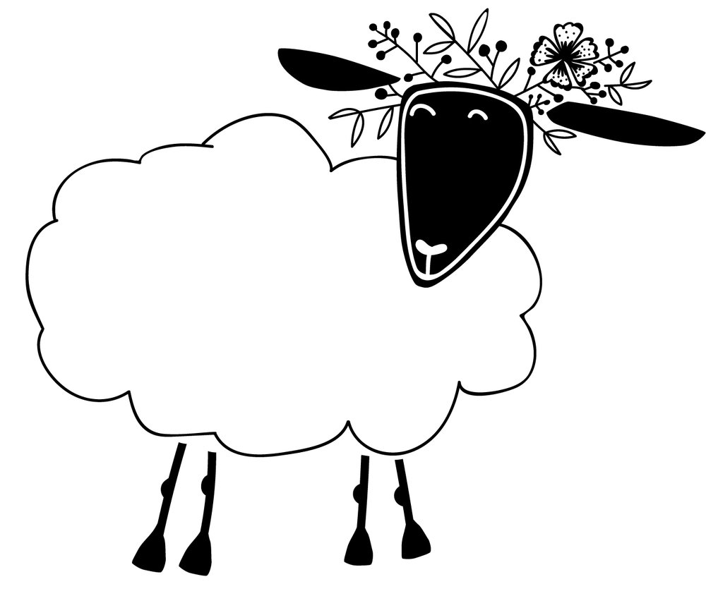 1000x845 Blacksheep Foods Contact