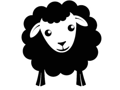 400x300 Blacksheep Management Logo