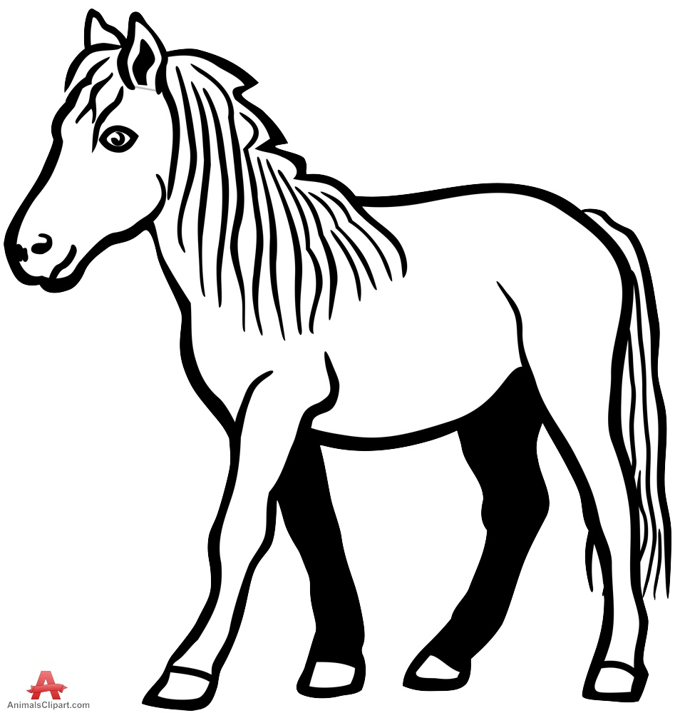 954x999 Stallion Drawing For Free Download