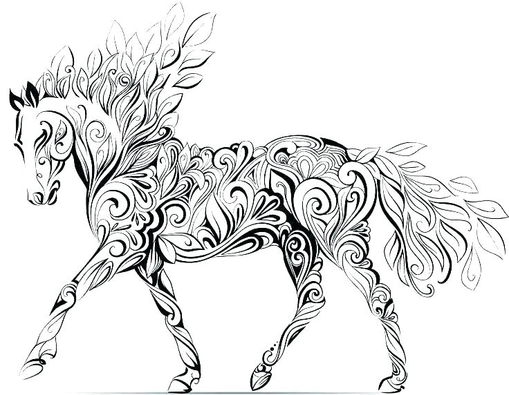 Black Stallion Coloring Page Coloring Pages