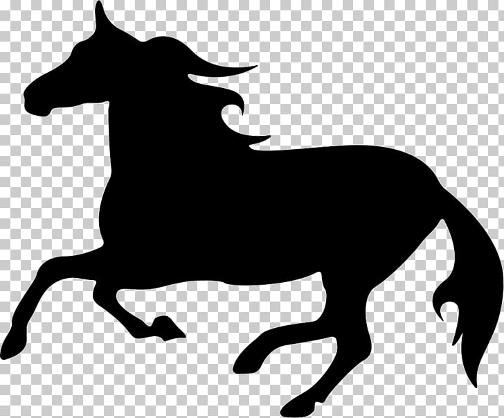 728x603 Horse Silhouette Equestrian Drawing Horse Png Clipart Free