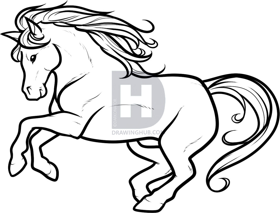 945x720 How To Draw A White Stallion, White Stallion, Step