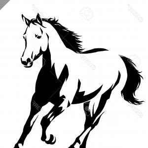 300x300 Photostock Vector Black And White Linear Draw Horse Vector