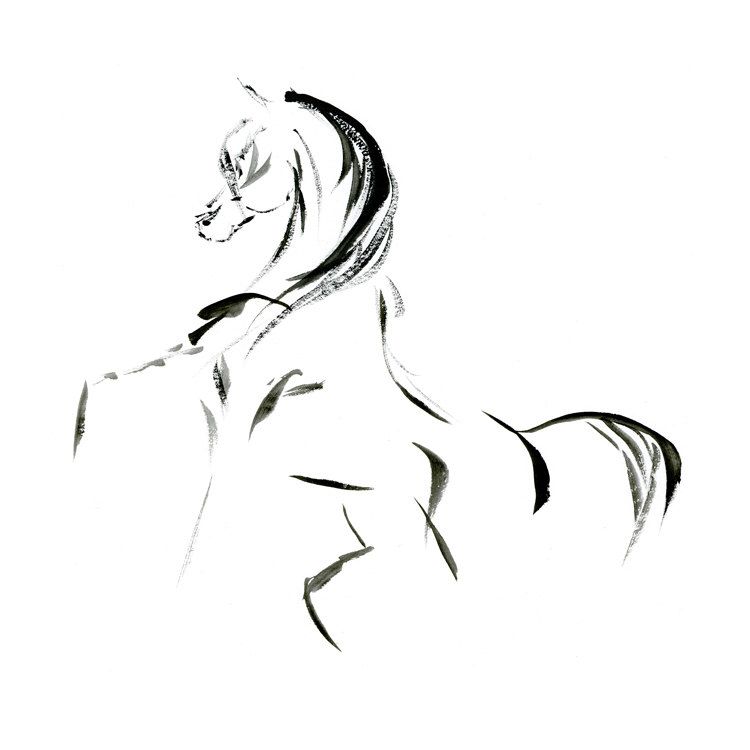 750x750 Arabian Horse Art, Minimalist Horse Art Print, Abstract Horse Art