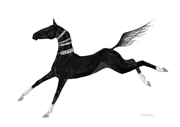 600x422 Black Horse Drawings