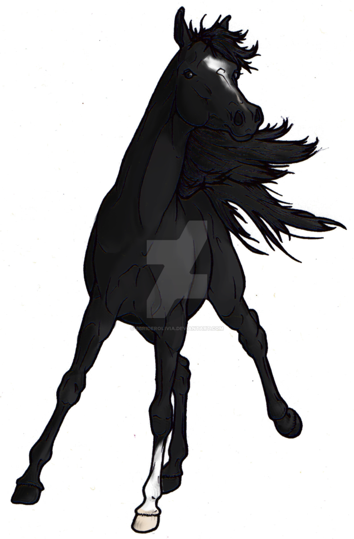 724x1103 Black Stallion Charge