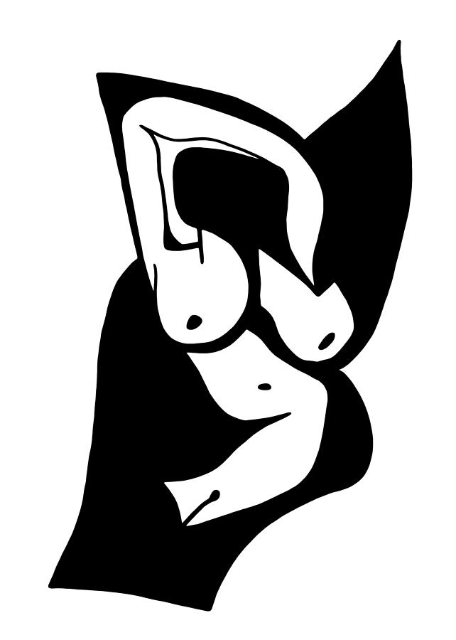 642x900 Black Swan Drawing