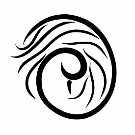 275x275 Black Swan Photos And Images