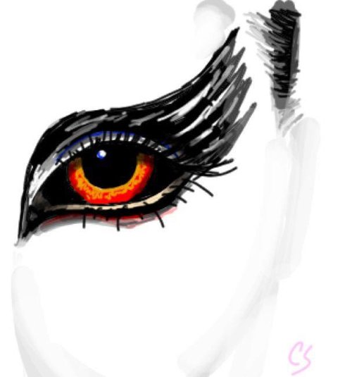 500x535 Blackswan Drawings