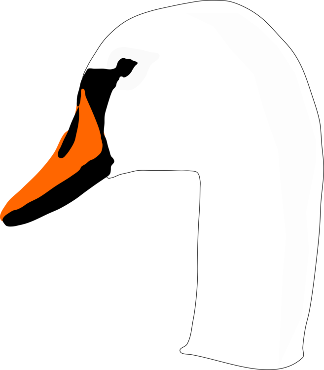 657x750 Mute Swan Duck Black Swan Computer Icons Drawing Cc0