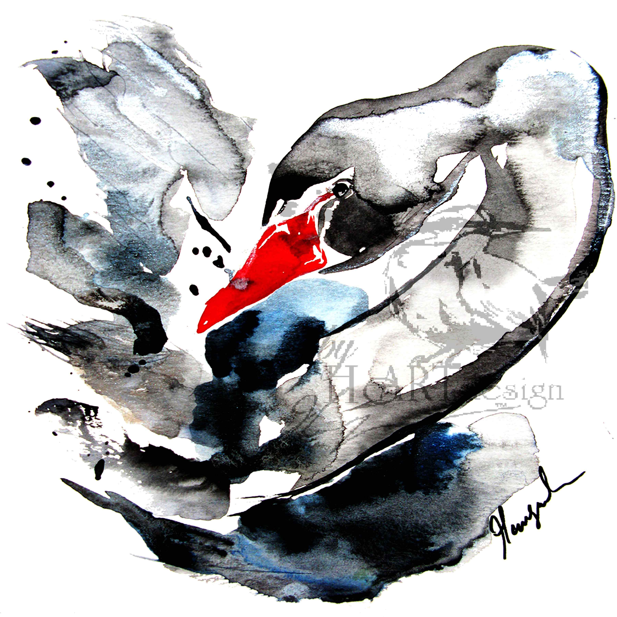 2048x2048 Art Birds, The Black Swan