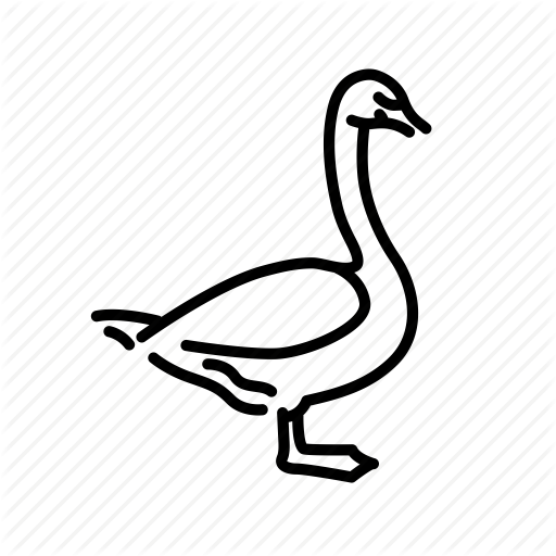 512x512 Animal, Bird, Black Swan, Nature, Swan, Wild Icon