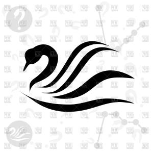 300x300 Beautiful Drawing Black Swan Silhouette Vector Createmepink