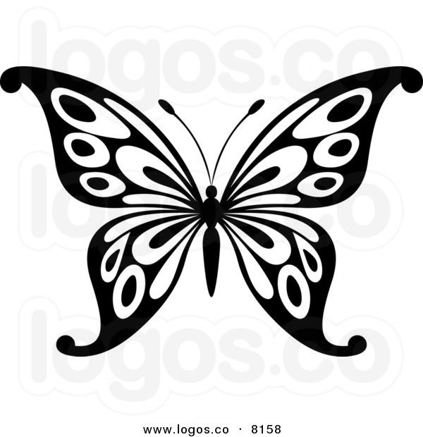 600x620 Black And White Butterfly