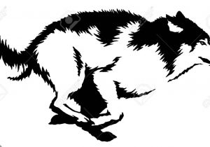 300x210 Black And White Wolf Drawing Black Wolf Drawing At Getdrawings