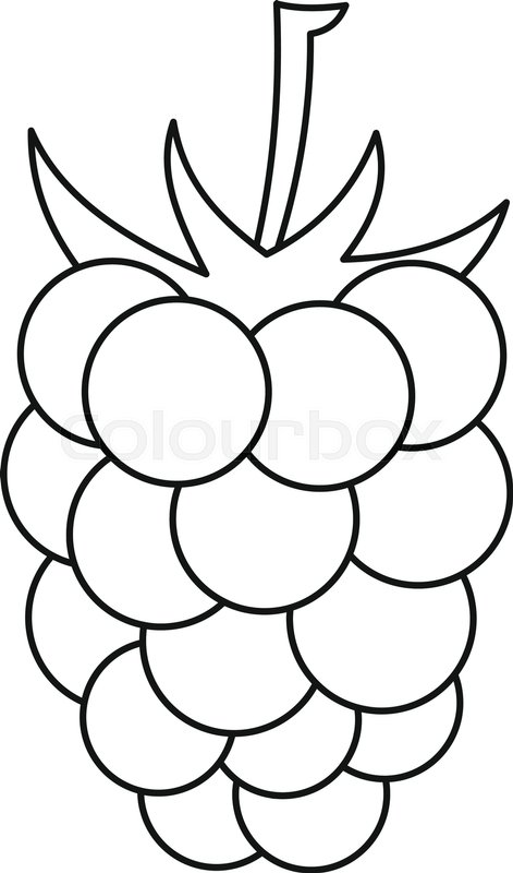 471x800 Blackberry Icon Outline Illustration Stock Vector Colourbox