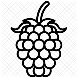 260x260 Fruit, Drawing, Flower, Transparent Png Image Clipart Free Download