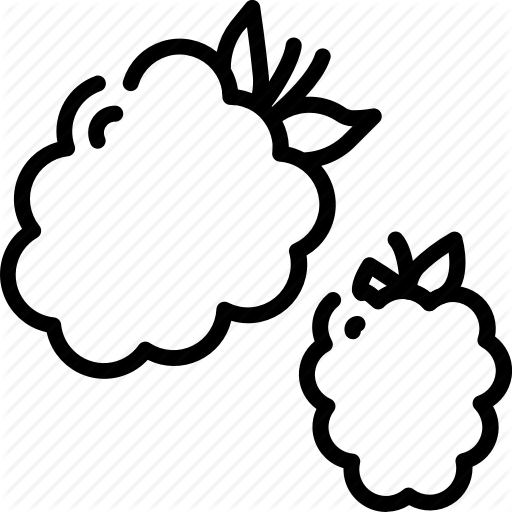 512x512 berry, blackberry, food, fruit, healthy, vegetarian icon