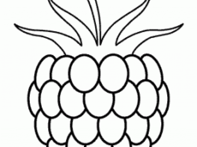 640x480 Drawn Berry Blackberry