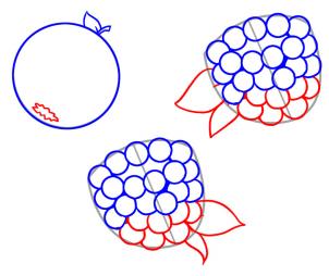 302x254 How To Draw How To Draw Berries