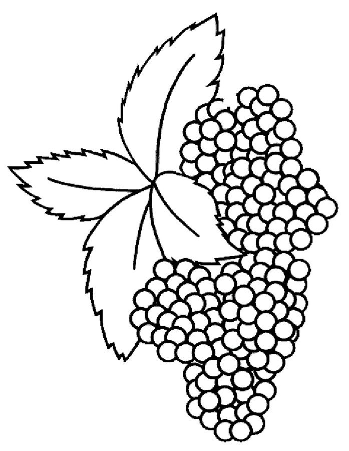 697x900 Images Of Blackberry Fruit Coloring Pages