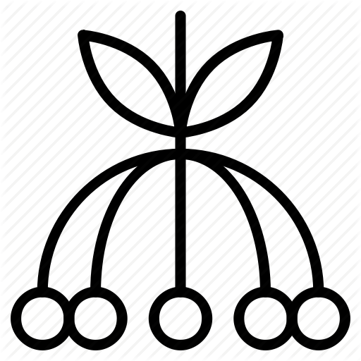 512x512 Berries, Blackberry, Brambleberry, Food, Fresh, Fruit Icon