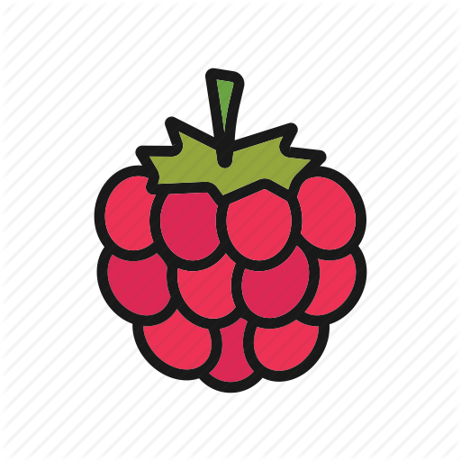 512x512 Berry Vector Raspberry Transparent Png Clipart Free Download