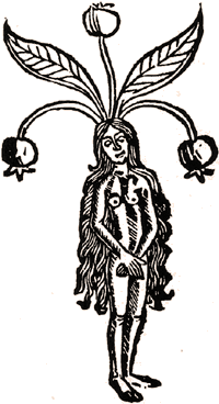 200x368 Strange Science Plants