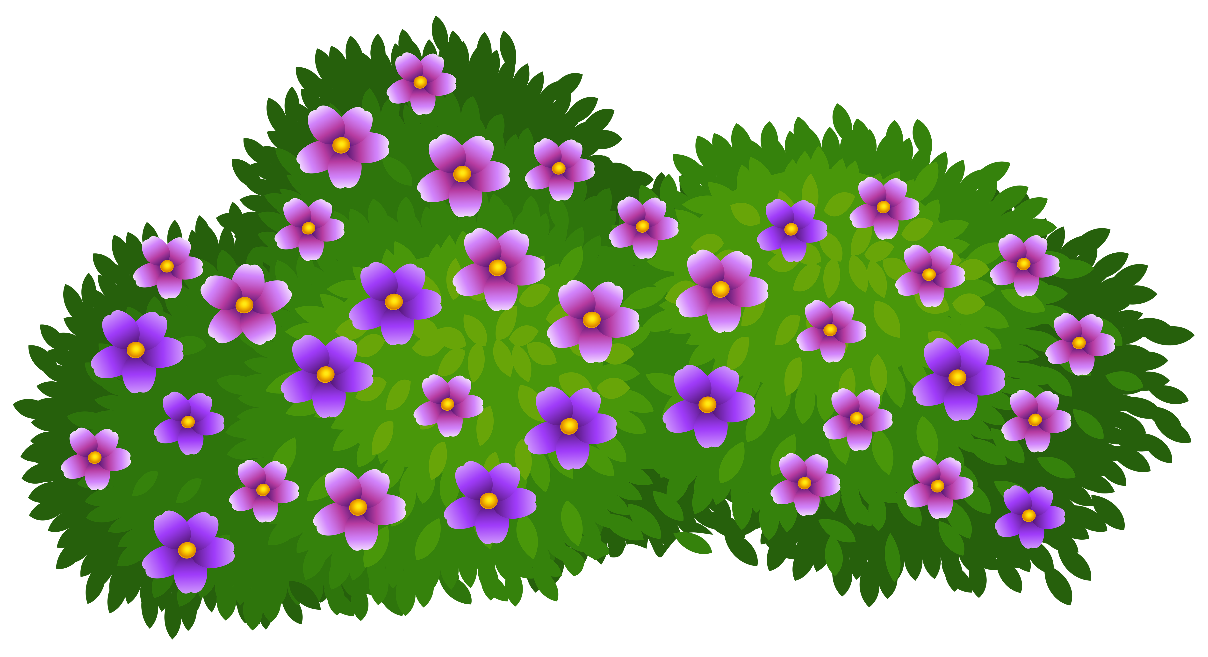 5000x2720 cliparts for free download bush clipart blackberry bush