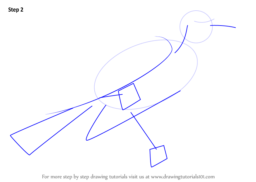 844x598 learn how to draw a red winged blackbird