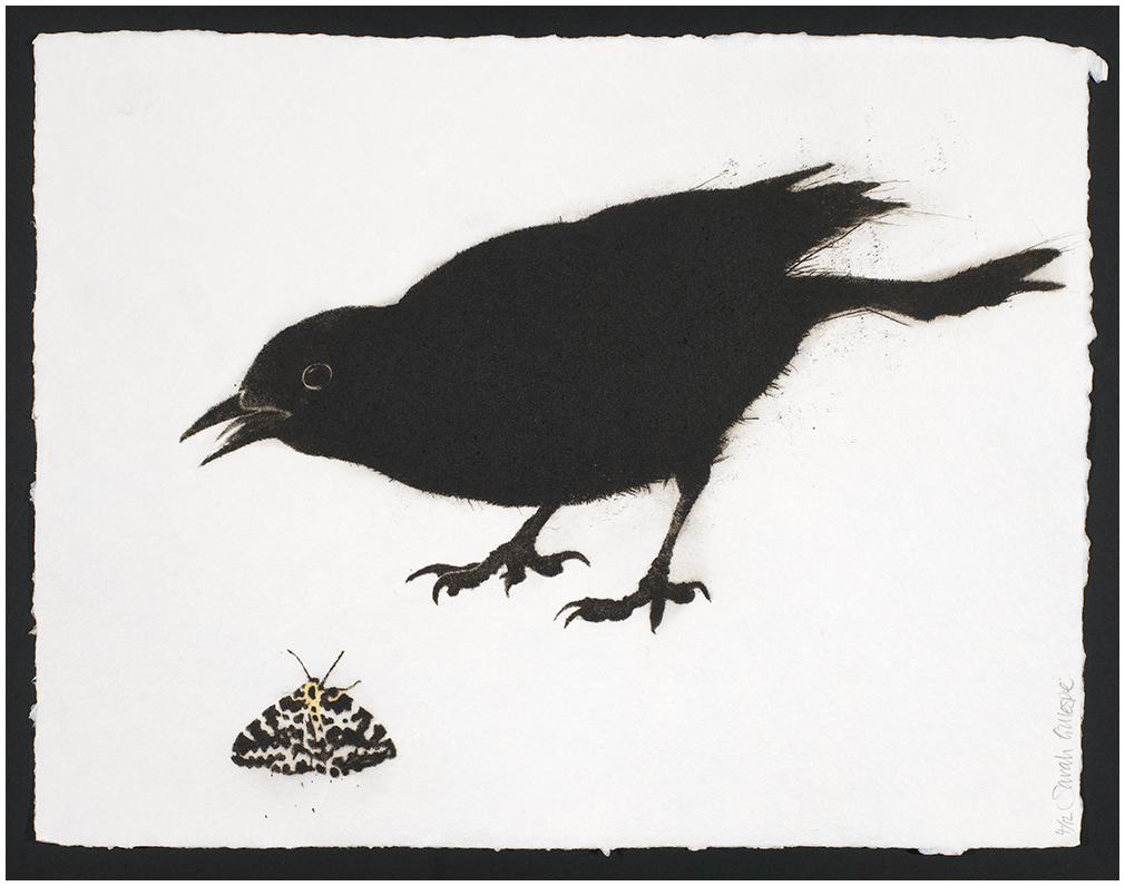 1010x796 Sarah Gillespie Charcoal Drawings Mezzotint Engravings