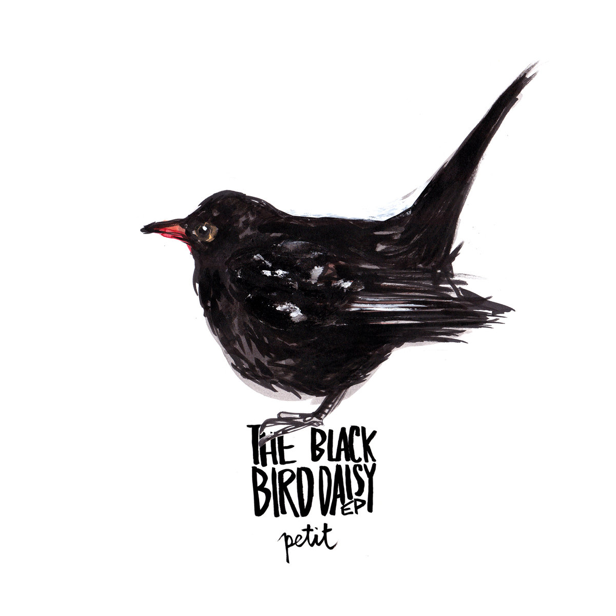 1200x1200 the blackbird daisy ep petit